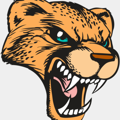 BAW CHEETAH 19 RC Thumbnail