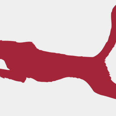 AR CHEETAH 11 RC Thumbnail