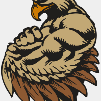 BAW HWK FLCN 02 RC Thumbnail