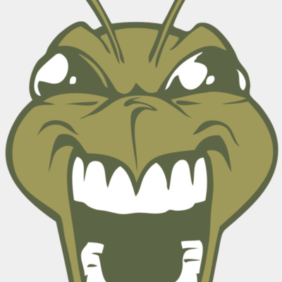 BAW BEE 13 RC Thumbnail