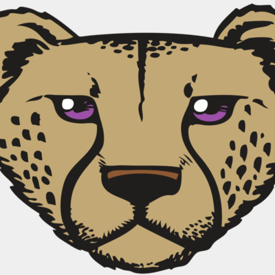 BAW CHEETAH 14 RC Thumbnail