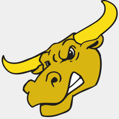 AR BULL 29 RC Thumbnail