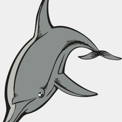 BAW DOLPHIN 03 RC Thumbnail