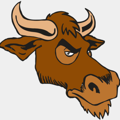 AR5 Bull 06 RQC Thumbnail