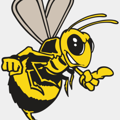 AR BEE 20 RC Thumbnail