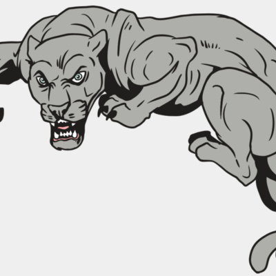 AR10 PANTHER 02 RQC Thumbnail