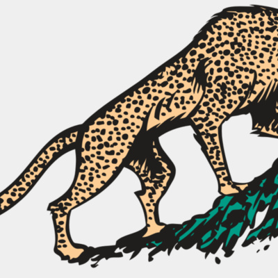 AR CHEETAH 02 RC Thumbnail