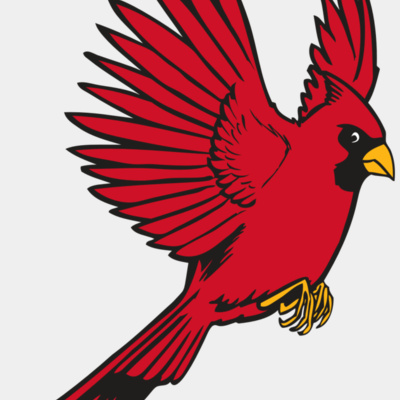 BAW CARDINAL 19 RC Thumbnail