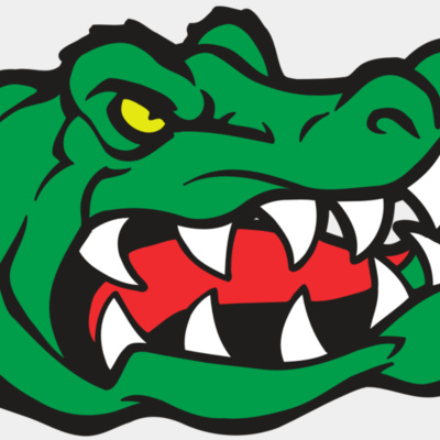 AR GATOR 19 RQC Thumbnail