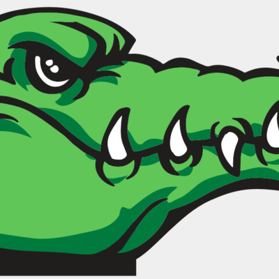 AR GATOR 15 RQC Thumbnail