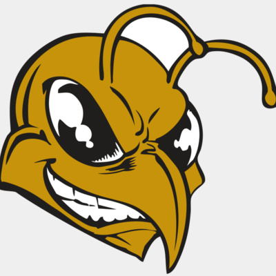 BAW BEE 18 RC Thumbnail