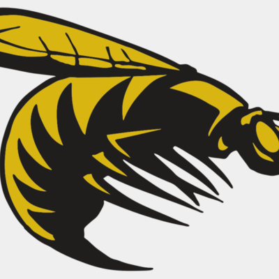 AR BEE 49 RC Thumbnail