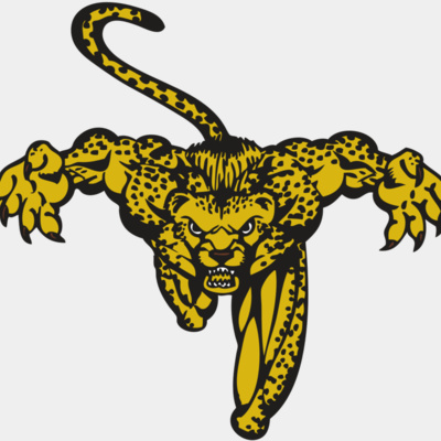 BAW CHEETAH 08 RC Thumbnail