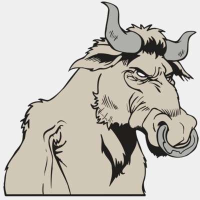 AR5 BULL 08 RQC Thumbnail