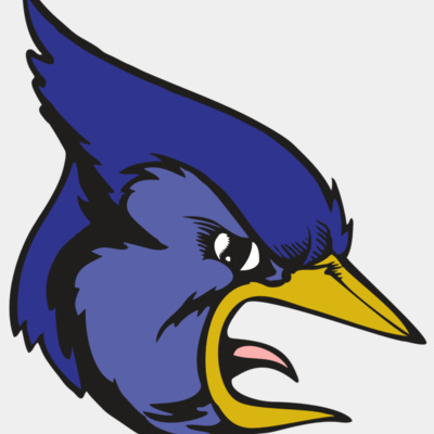 BAW BLUEJAY 04 RC Thumbnail