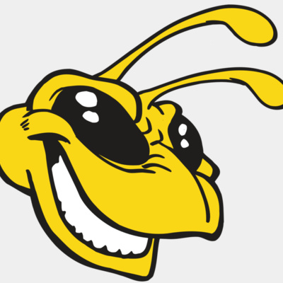 AR5 BEE 24 RQC Thumbnail