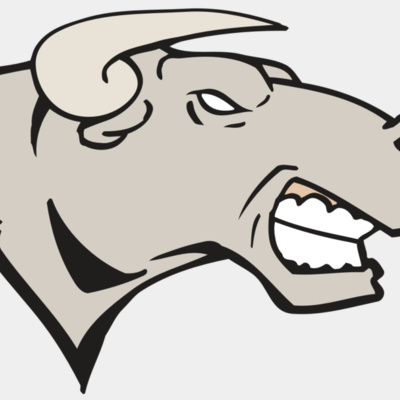 AR BULL 18 RC Thumbnail