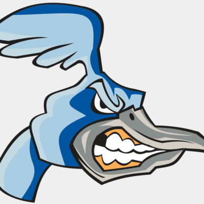 ROADRUNNER HD0503 RQC Thumbnail