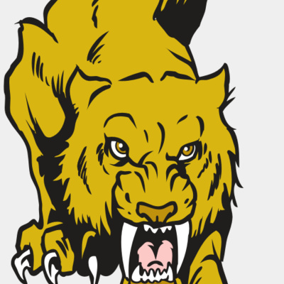 AR30 SABER 08 RQC Thumbnail