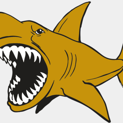 AR  SHARK 21 RC Thumbnail