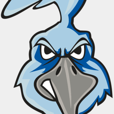 ROADRUNNER HD0502 RQC Thumbnail