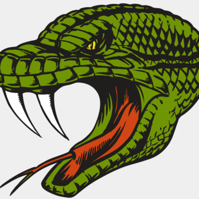 BAW SNAKE 14 RC Thumbnail