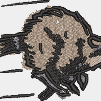 WO571 Thumbnail