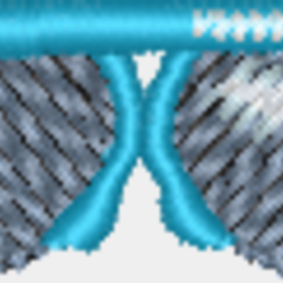 NZ262 Thumbnail