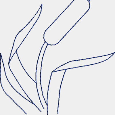 NZ521 Thumbnail