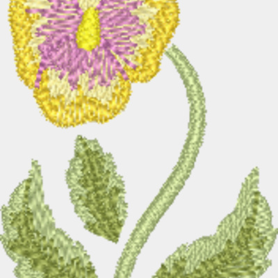 FP181 Thumbnail