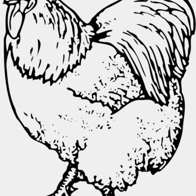 CHICK003 Thumbnail