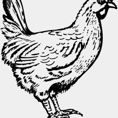 CHICK004 Thumbnail