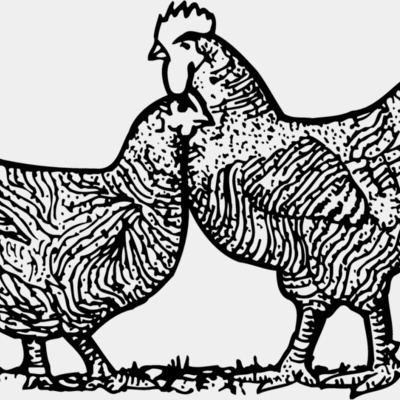 CHICK005 Thumbnail