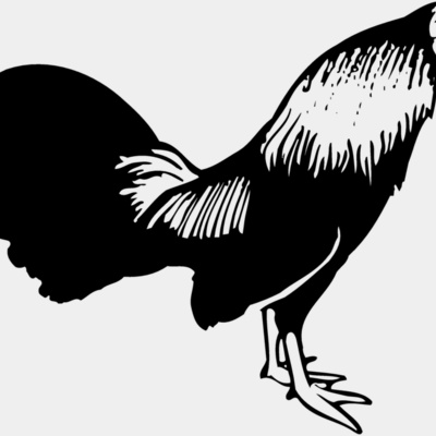 CHICK006 Thumbnail