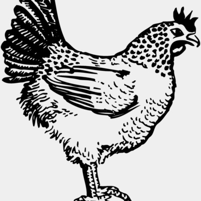 CHICK009 Thumbnail