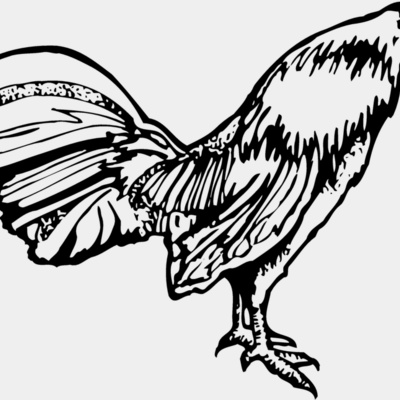 CHICK011 Thumbnail
