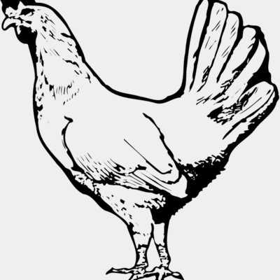 CHICK012 Thumbnail