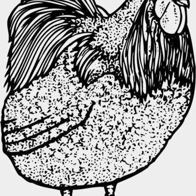 CHICK014 Thumbnail