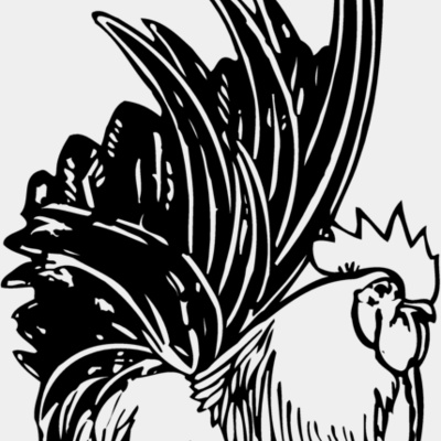 CHICK015 Thumbnail