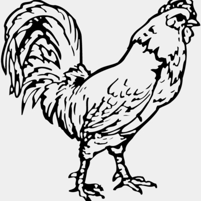CHICK019 Thumbnail