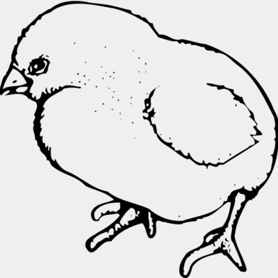 CHICK020 Thumbnail