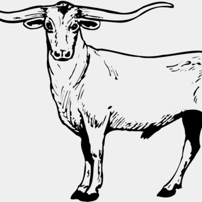 COW016 Thumbnail