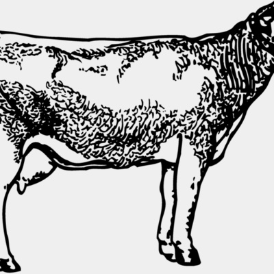 COW033 Thumbnail