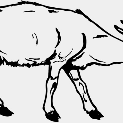 GOAT002 Thumbnail