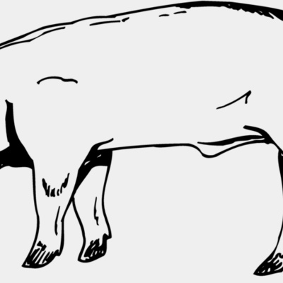 HOG0006 Thumbnail