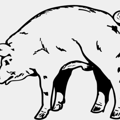 PIG0002 Thumbnail