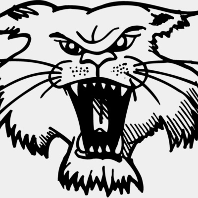 CAT01 Thumbnail