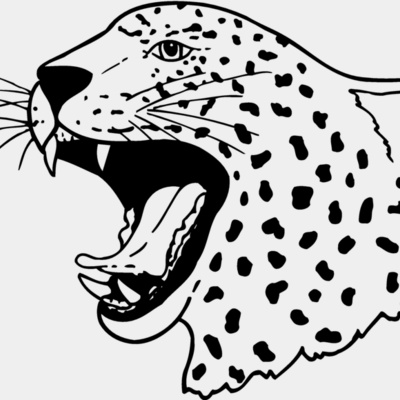 CAT13 Thumbnail