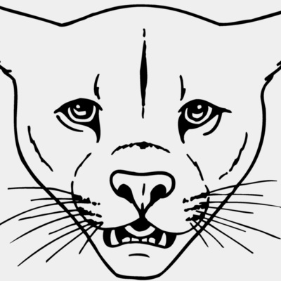 CAT16 Thumbnail