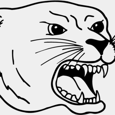 CAT17 Thumbnail